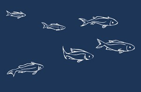 EQUARIUS | Emission-Free Water Shuttles for Smart Cities